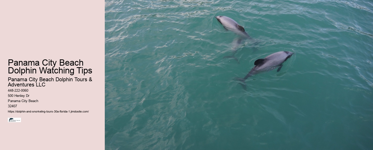 Guided Eco Snorkeling Panama City