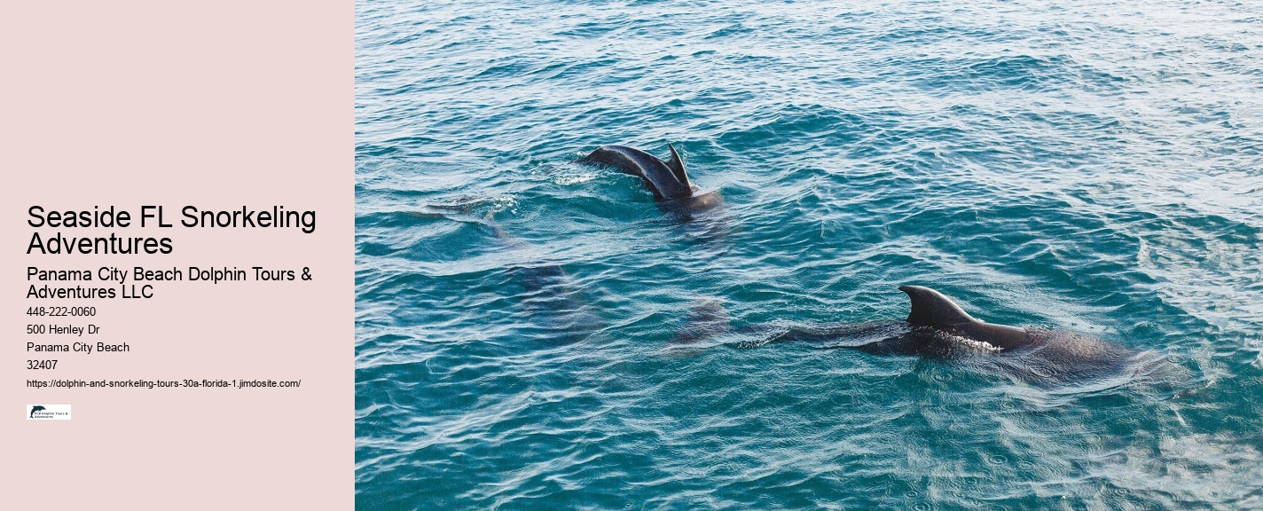 How can I participate in a dolphin and snorkeling tour on 30A