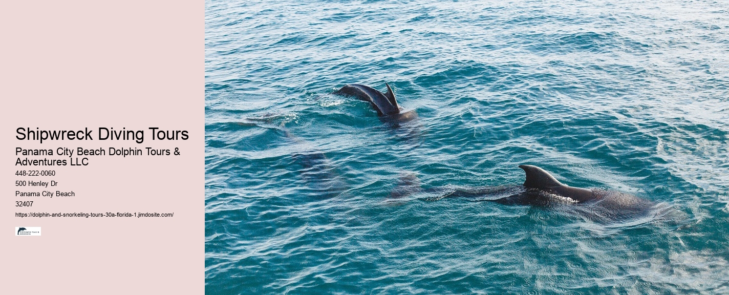 What marine life can I expect to see during a snorkeling tour in 30A