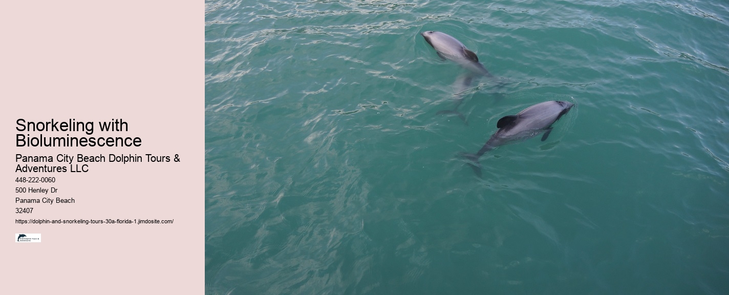 Submarine Dolphin Watch