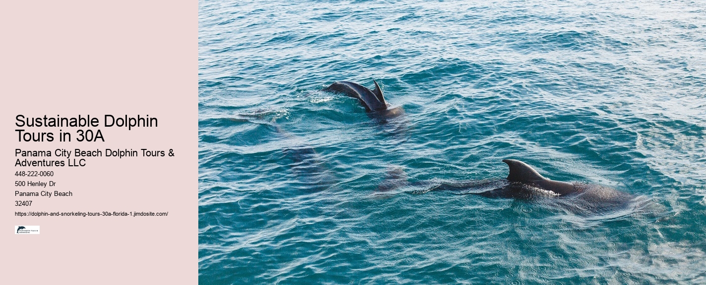 Florida Snorkeling Tours