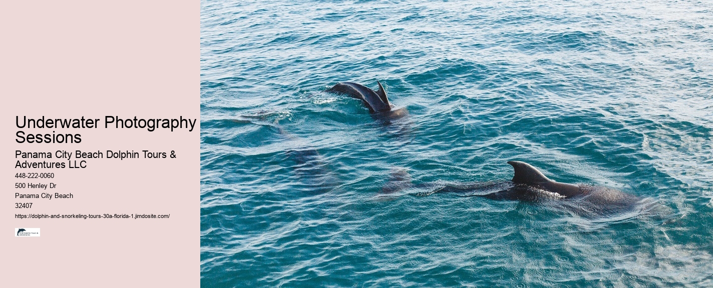 and Snorkeling Tours