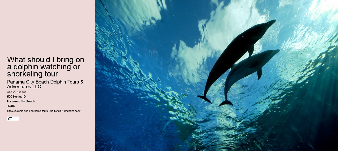 Dolphin and Sunset Cruise