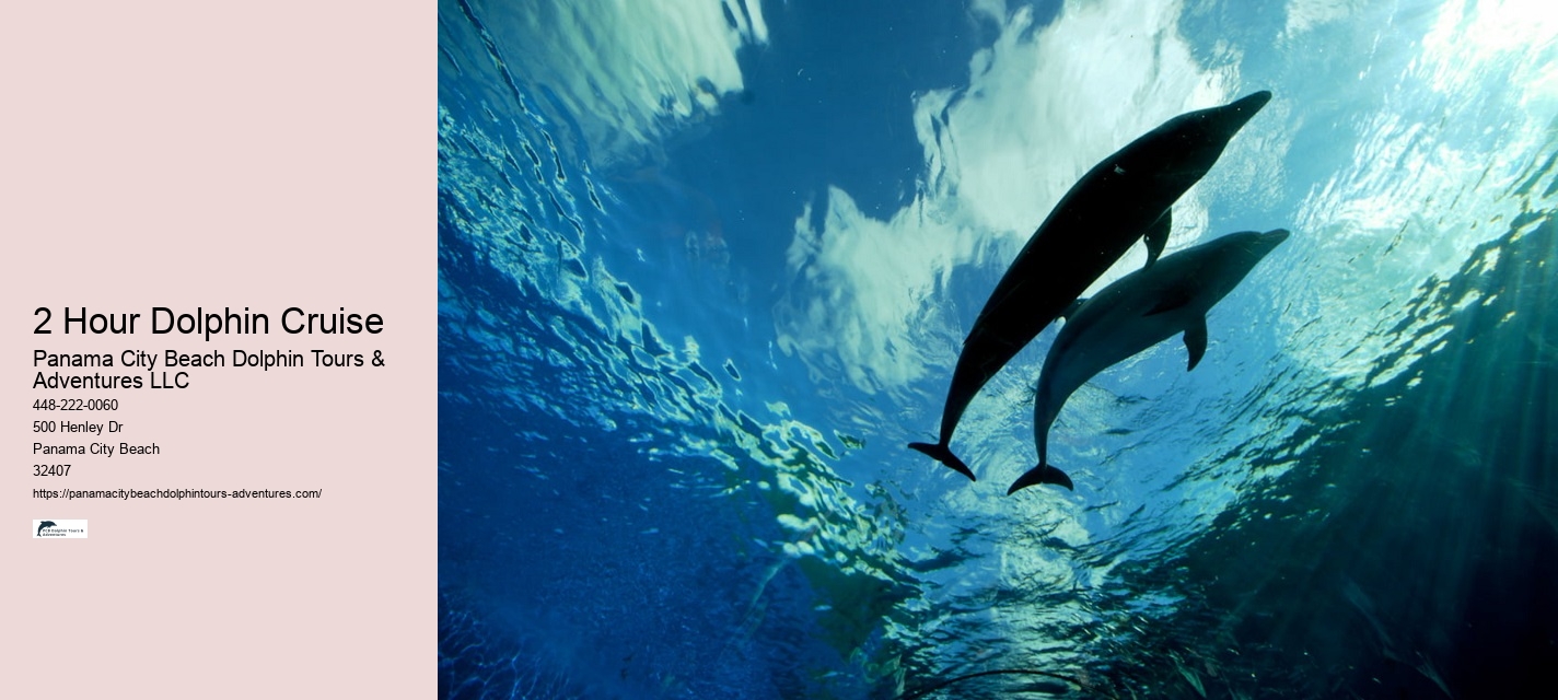 Do Dolphins Befriend Humans
