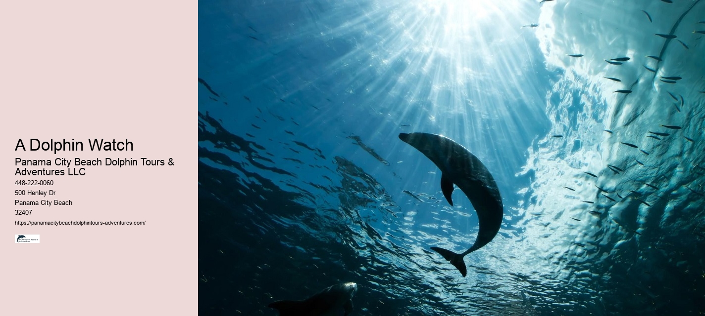 Aquatic mammals