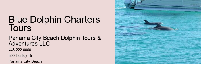 Eco Dolphin Tours