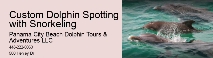 Panama City Beach dolphin watching adventures