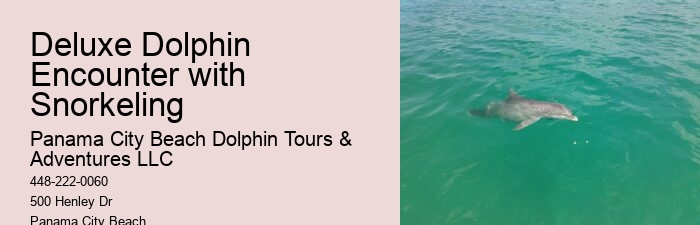 Exclusive Dolphin Discovery and Snorkeling Trips
