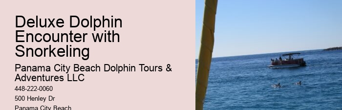 Split Off-the-grid Dolphin And Snorkeling Excursions