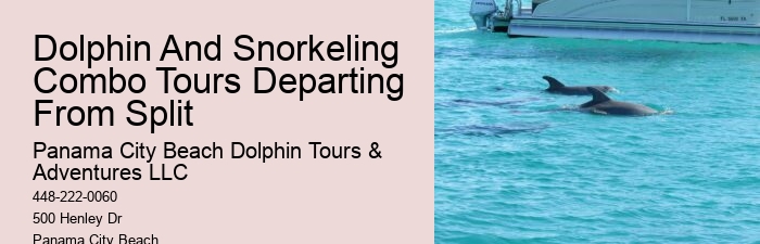 How Much Does It Cost To Swim With Dolphins In Panama City