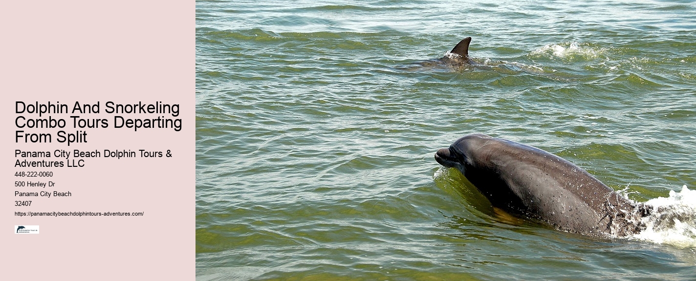 Private Dolphin Tours Hilton Head