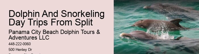 PCB Dolphin Watching Trips