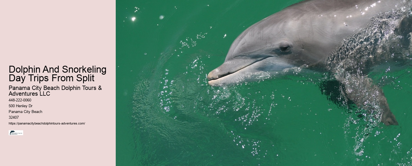 Panama City Beach Private Boat Tours