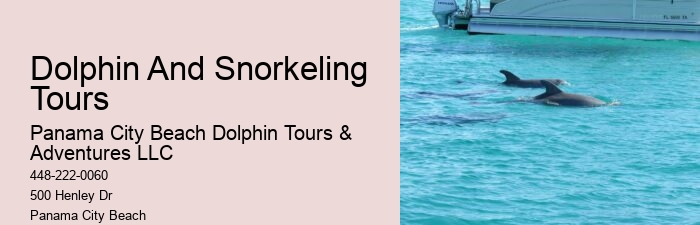 Split Group Tours For Snorkeling And Dolphin Watching