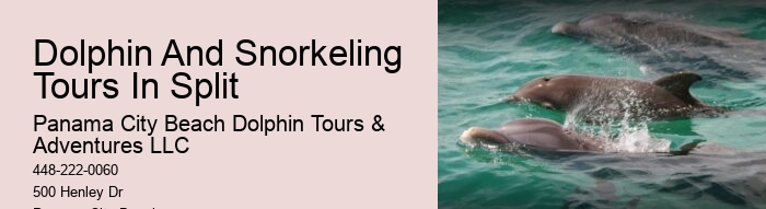Snorkeling Tour