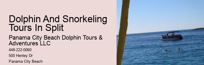 Yacht Dolphin Tours