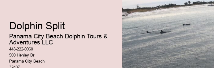 Salty Excursions