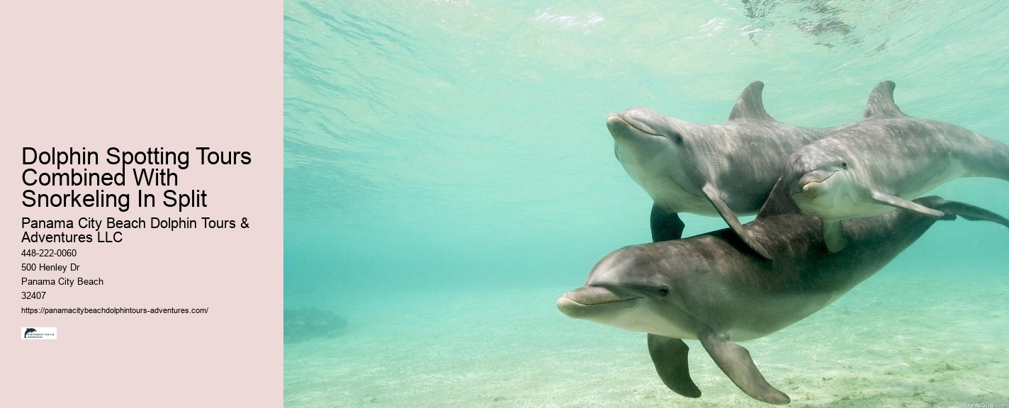 What Are The Risks Of Hugging Dolphins In The Wild