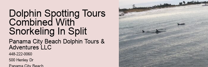 Can I bring my dog on a dolphin tour in Panama City Beach
