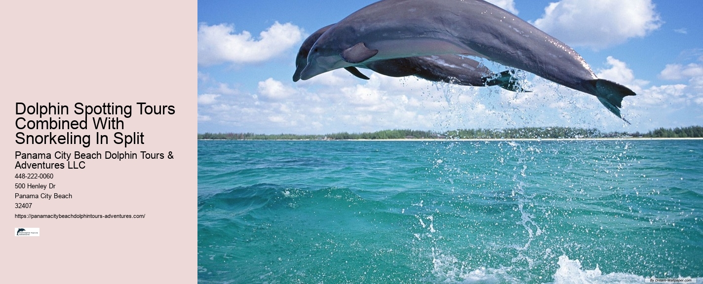 Dolphin Snorkeling Tours