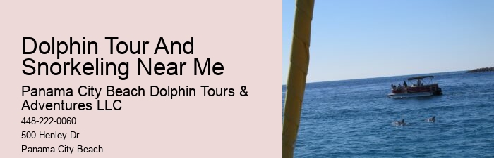Intimate Dolphin Encounter and Snorkeling Tours