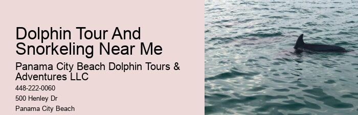 Private Dolphin Tours