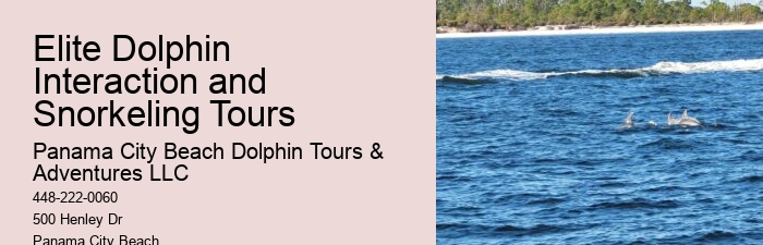 Are Dolphins Aggressive Towards Humans