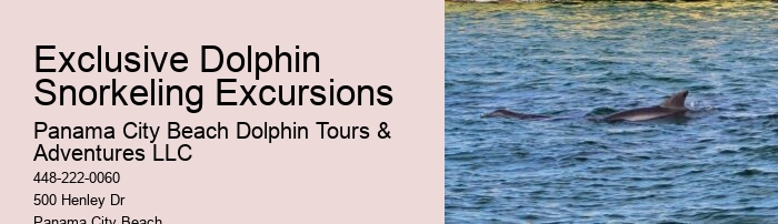 Panama City Beach Dolphin Sightseeing