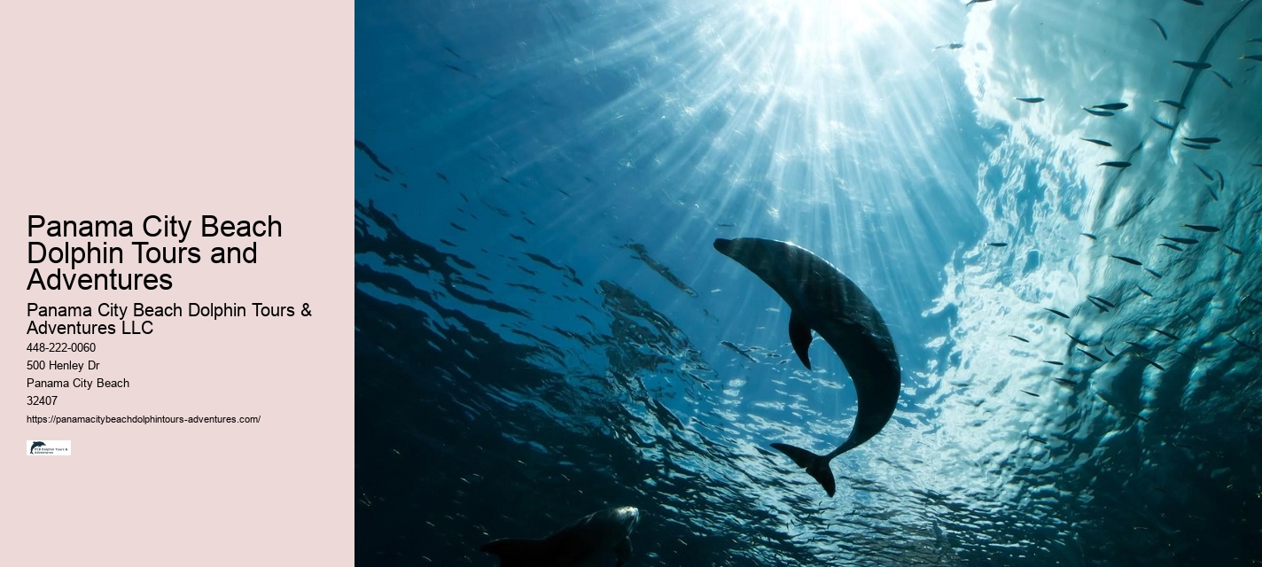 Panama City Beach Dolphin Adventure Cruises