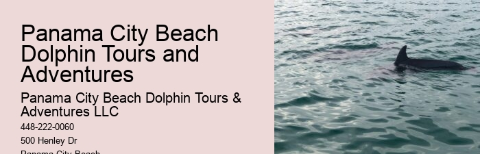 Panama City Beach dolphin expedition cruises