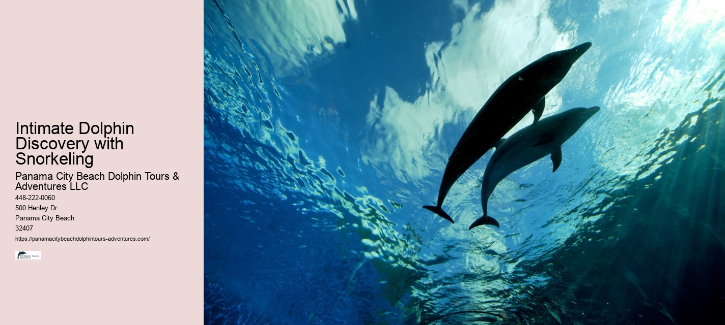Hour Private Snorkeling