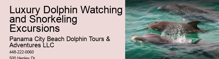 PCB Dolphin Discovery Excursions