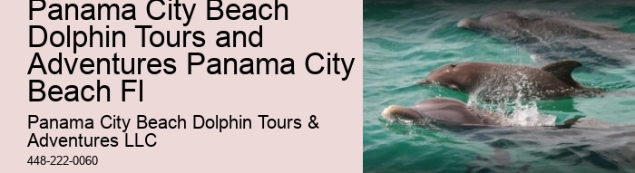 Do Dolphins Swim Humans To Shore