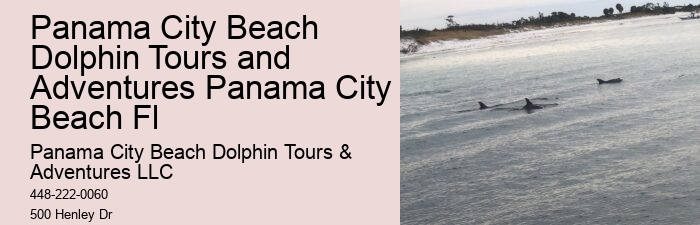 Dolphin Tours And Shell Island Panama City Beach