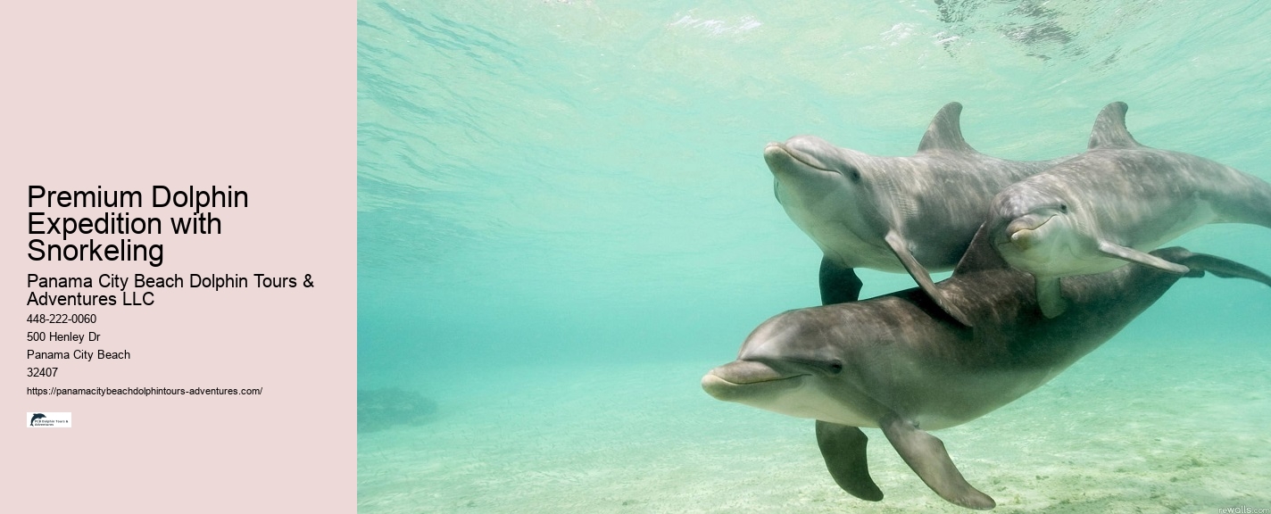 Why Shouldn't You Touch Dolphins