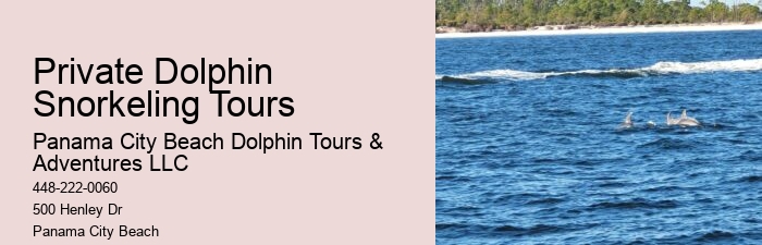 Split Luxury Yacht Charters For Dolphin And Snorkeling Tours