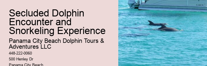 Panama City Beach Dolphin And Snorkel Tours