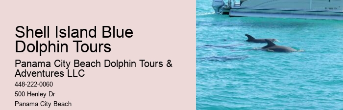 VIP Dolphin Exploration and Snorkeling