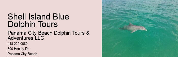 Panama City Beach Swim With Dolphins