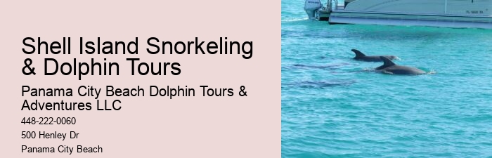 Swimming With Dolphin Tours Panama City Beach