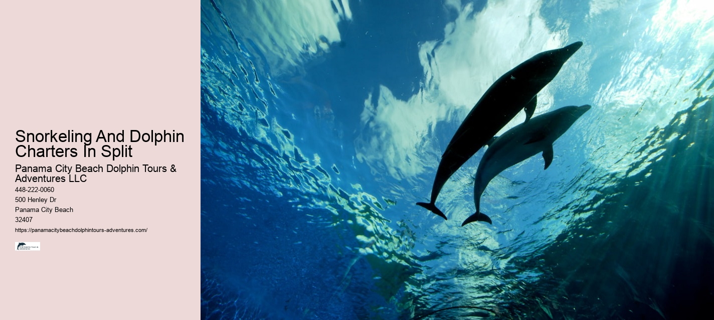 Split Memorable Dolphin And Snorkeling Adventures