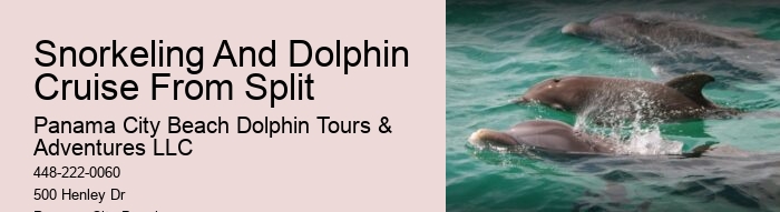 Blue Dolphin Tours Panama City Beach Fl