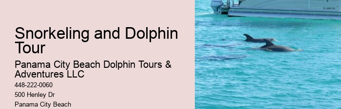 Split Adventure Tours Including Dolphin Watching And Snorkeling