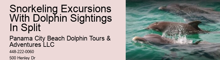 Dolphin Cruise And Snorkeling Adventure