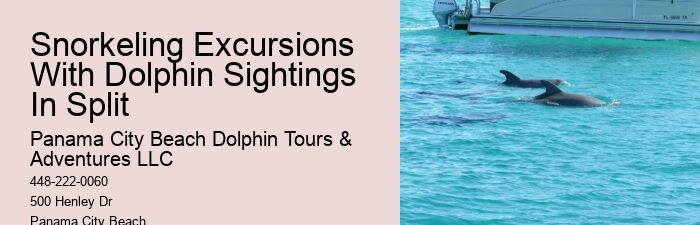 Dolphin Tours In Panama City Florida