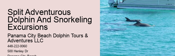 What Does It Mean When Dolphins Come Close To Shore