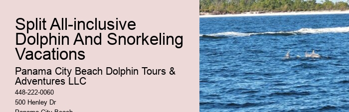Guided Dolphin Safari with Snorkeling
