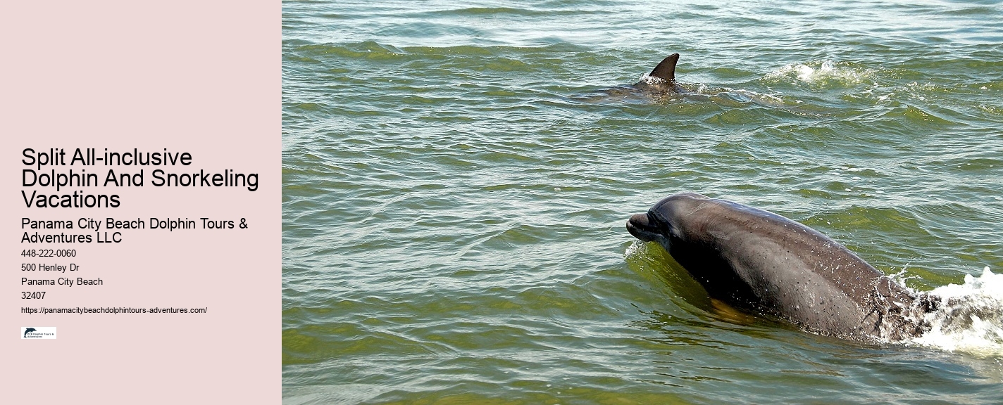 What type of dolphin species might we encounter on the tour