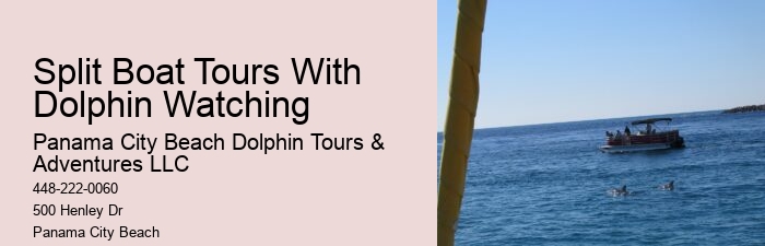 Can Dolphins Smell Fear