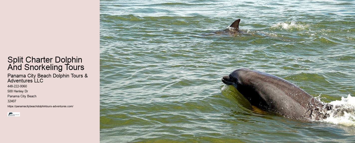 Panama City Dolphin Tours